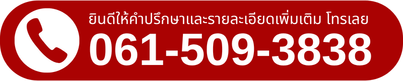 061-509-3838
